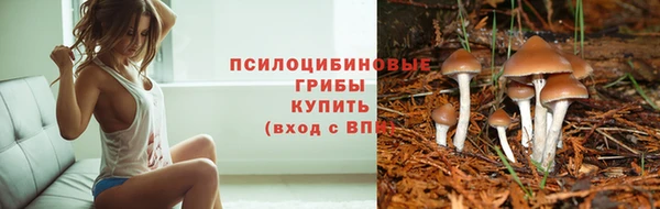 амф Костерёво