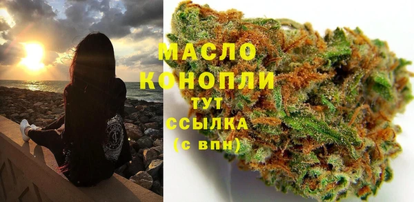 твердый Краснослободск