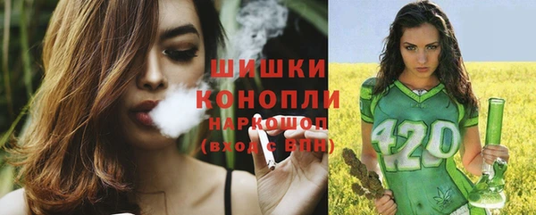 твердый Корсаков