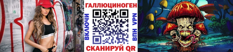 Купить  Гудермес  Псилоцибиновые грибы MAGIC MUSHROOMS 